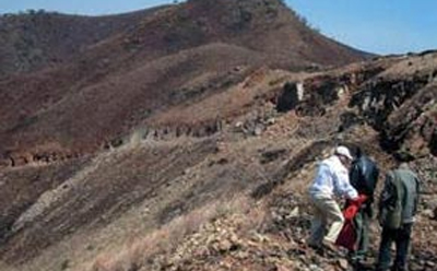 甘肃草莓视频下载大全主要分为几个阶段 甘肃草莓视频下载大全主要分为几个阶段