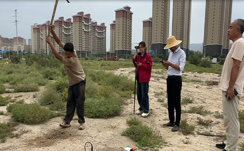 草莓视频下载大全中的挑战与对策：确保地质数据的准确性与全面性